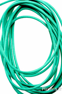 Lacet en cuir - épaisseur 2 mm - menthe